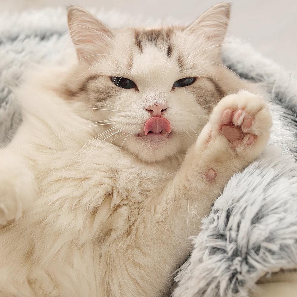 Cozy Cat Cave Bed Made of Soft Cotton – Round Shape for Stress Relief and Joint Support, Easy to Clean 7