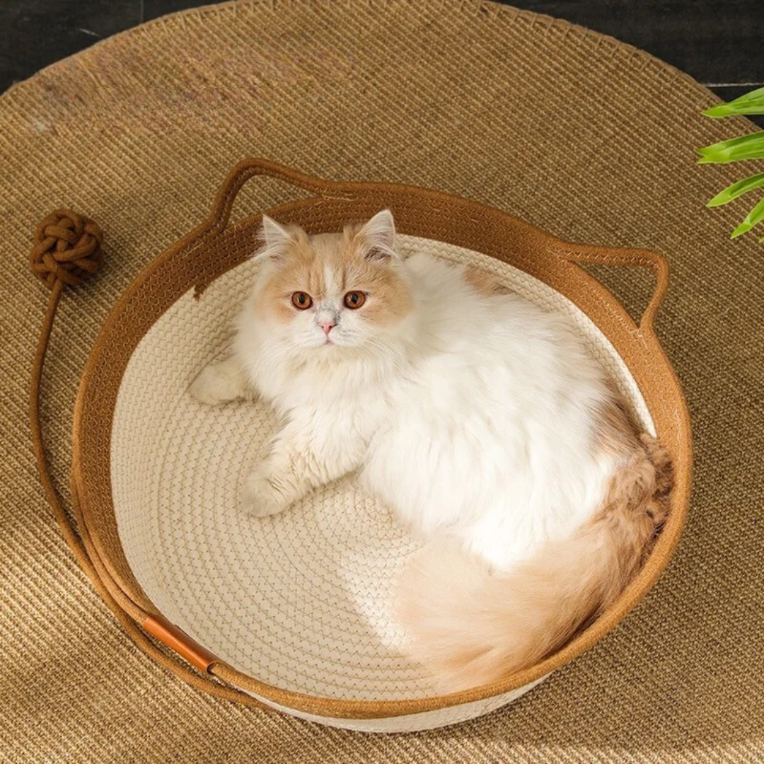 Hand-Woven Cotton Cat Bed – Durable, Cozy Retreat with High Side Walls, Available in Small, Medium, Large Sizes 4