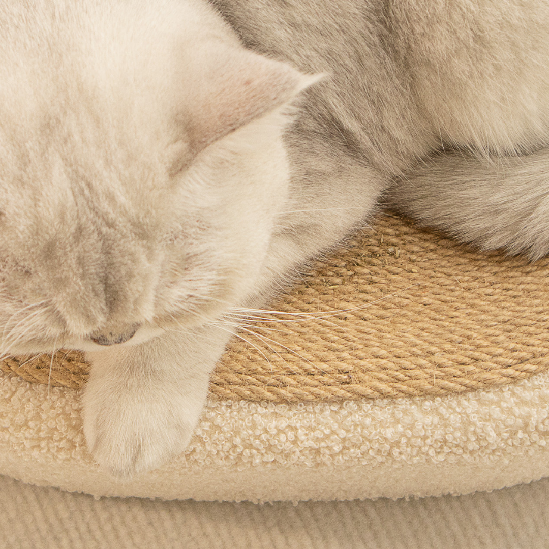 Sisal Cat Scratch Bed with Cozy Resting Area – Beige 2-in-1 Design for Healthy Scratching and Relaxation 2
