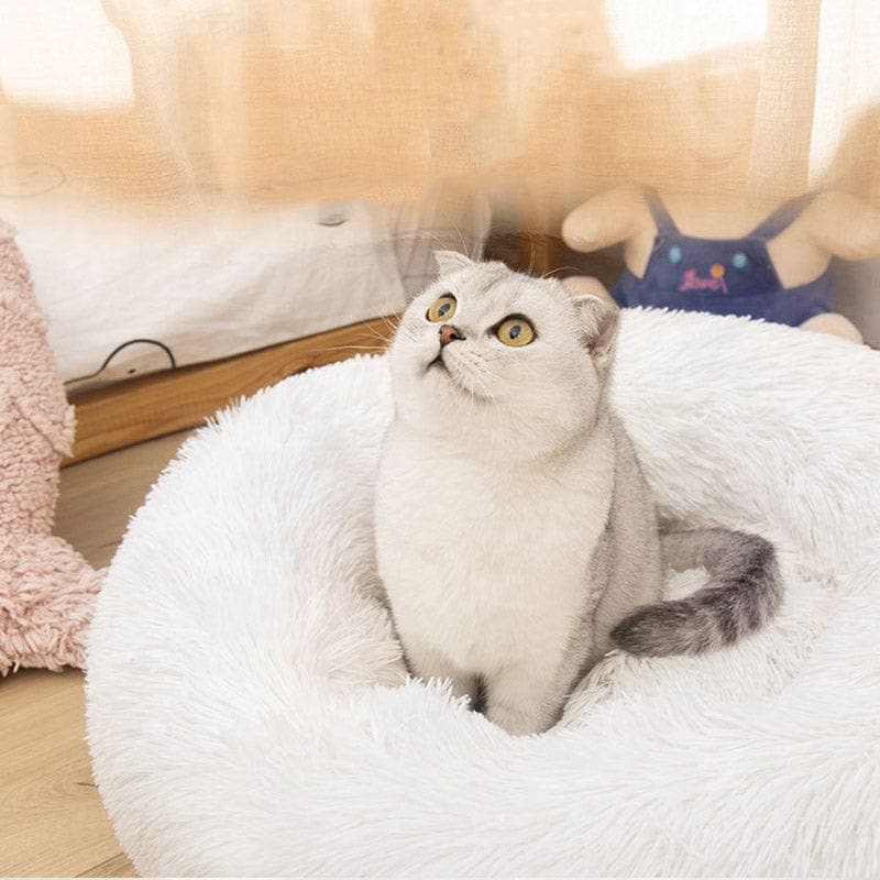 Cat sitting on a fluffy white pet bed with a blurred background
