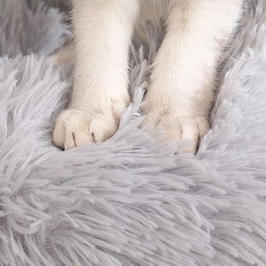Fluffy Cat Bed