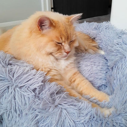 Fluffy Cat Bed